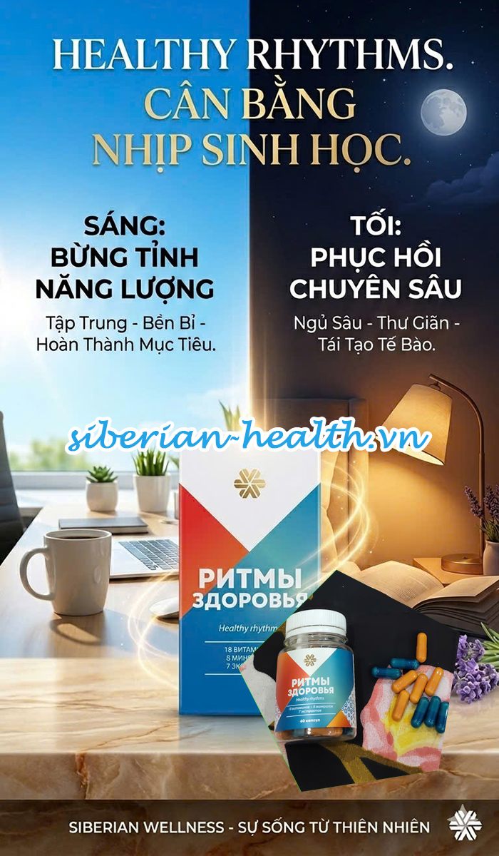 Tách biệt trạng thái Chiến đấu và Tái tạo: Khi cơ thể cần một máy định vị.
