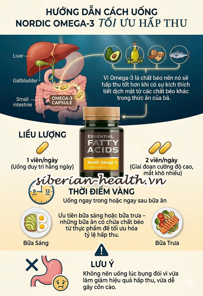 Hướng dẫn cách uống viên dầu cá Nordic Omega 3 cùng bữa ăn để tối ưu độ hấp thu
