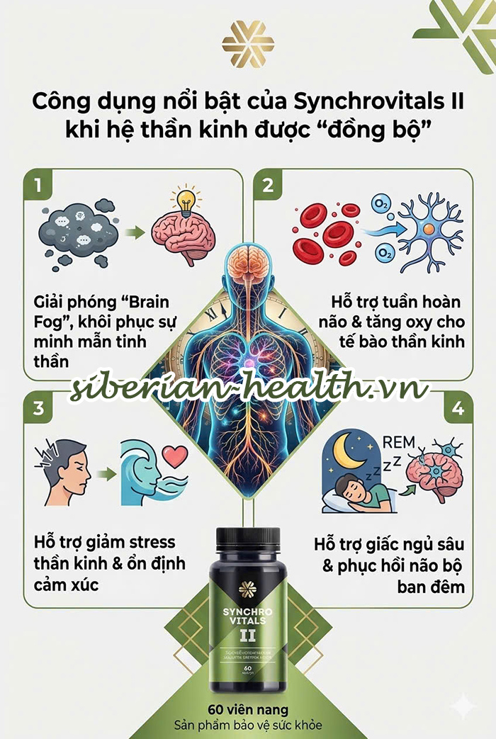 công dụng hỗ trợ đồng bộ nhịp thần kinh của Synchrovitals II Siberian Wellness