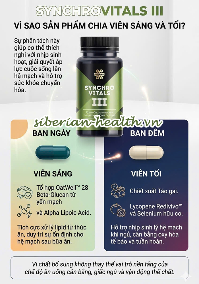 Viên uống hỗ trợ nhịp sinh học giúp bảo vệ hệ mạch ngoại vi và chuyển hóa Synchrovitals III Siberian Wellness