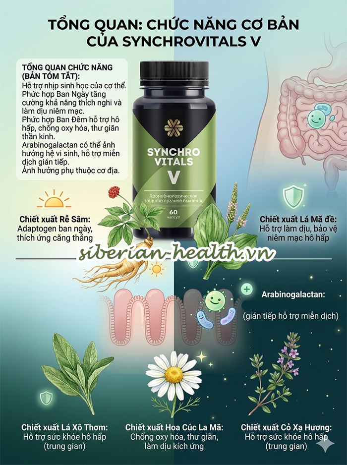 Sản phẩm Synchrovitals V Siberian Wellness