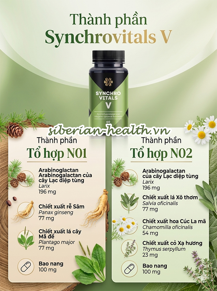 Bảng thành phần chi tiết của Synchrovitals V Siberian Wellness theo hai tổ hợp ngày đêm