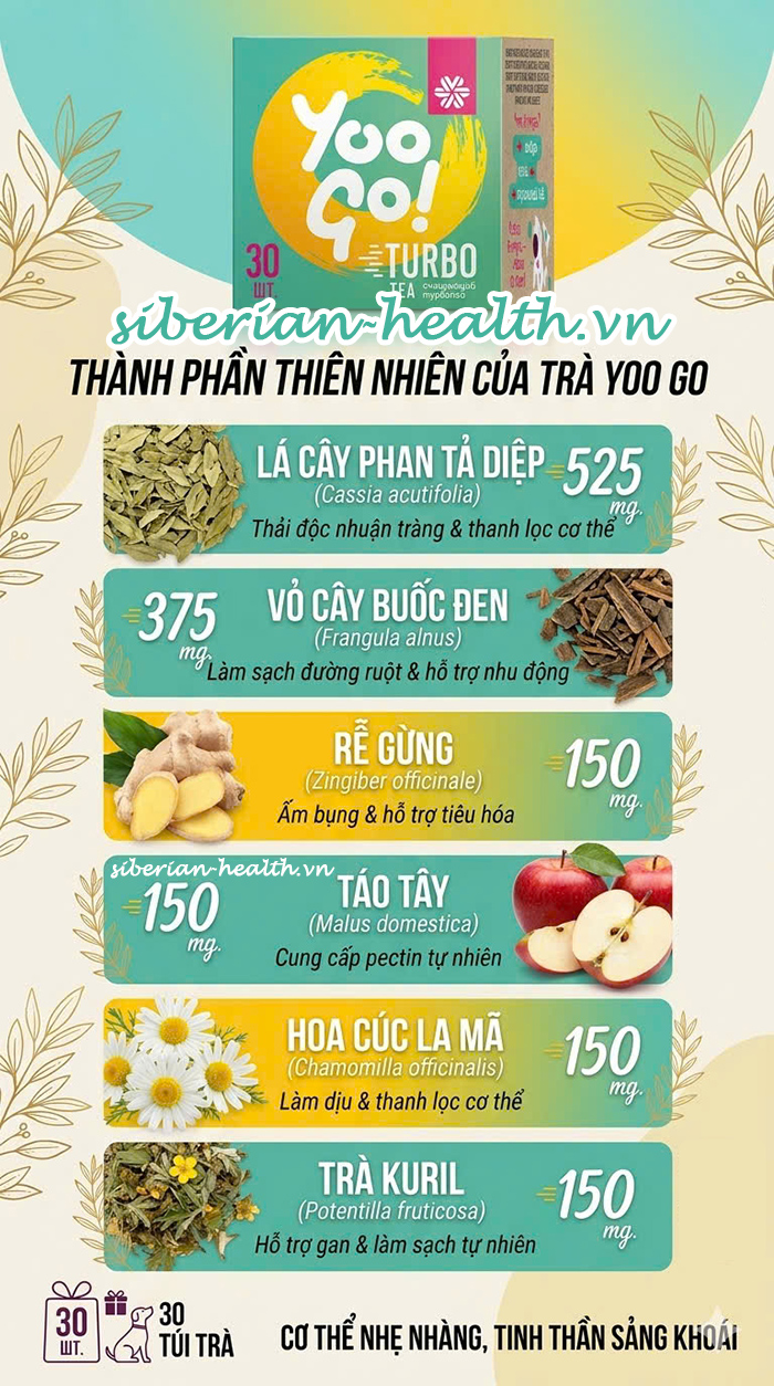 phân tích thành phần trà yoo go và cơ chế hỗ trợ nhu động ruột