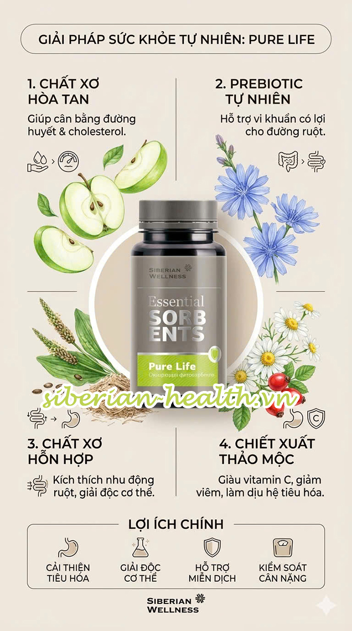 Đồ họa thông tin phân tích chi tiết các thành phần chính và cơ chế hoạt động của sản phẩm Siberian Wellness Pure Life, bao gồm quy trình hấp thụ độc tố bằng màng gel và thanh lọc hệ bạch huyết.