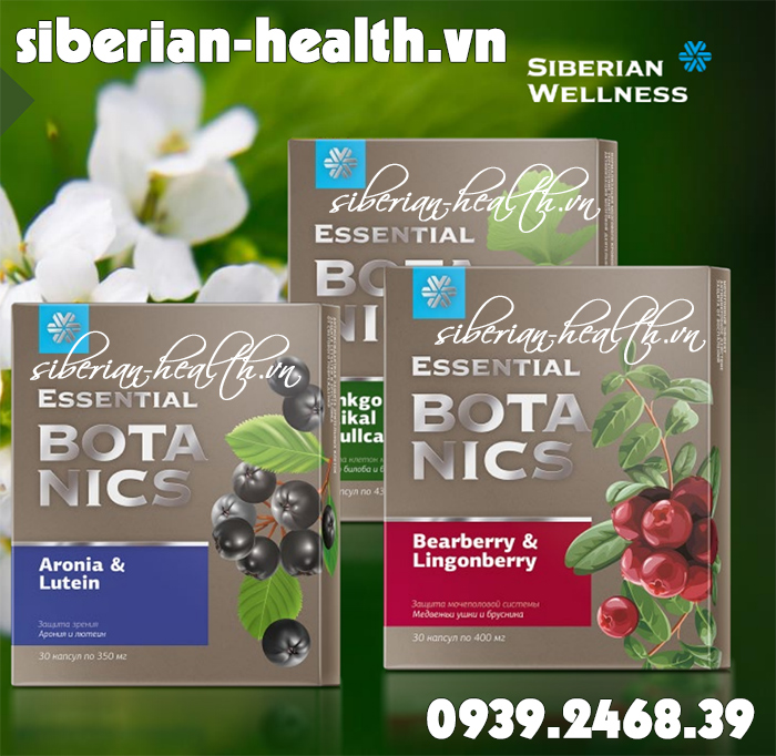 Bearberry and lingonberry - hỗ trợ viêm nhiễm đường tiết niệu và hệ tiêu hóa