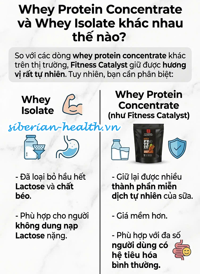 Bảng so sánh sự khác biệt giữa Whey Protein Concentrate và Whey Isolate cho người mới bắt đầu