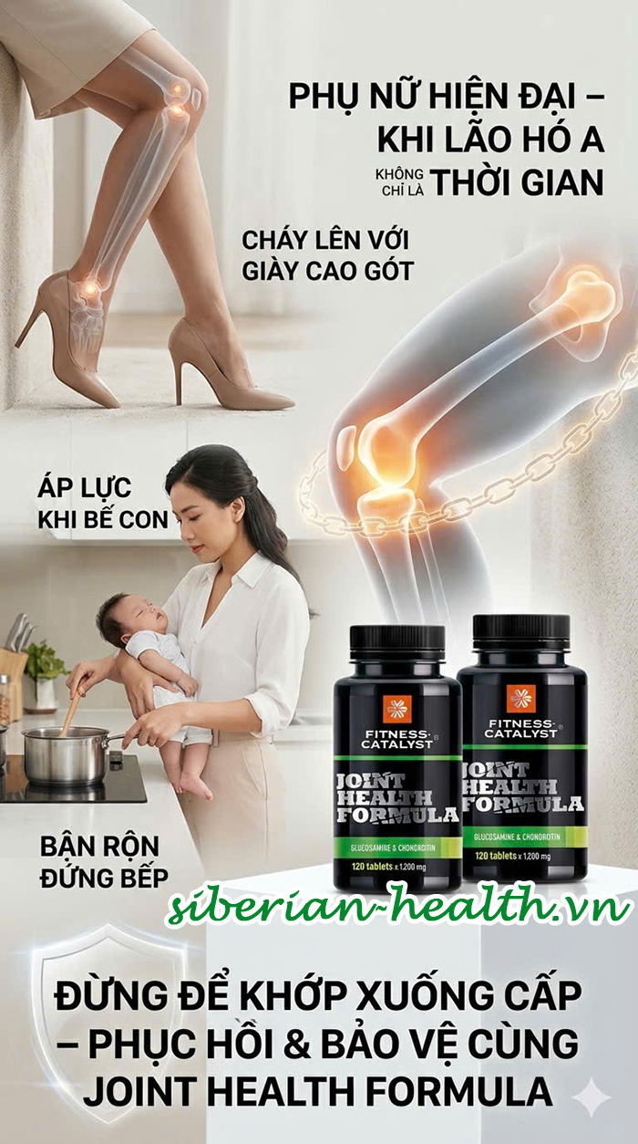 Fitness Catalyst. Glucosamine and Chondroitin