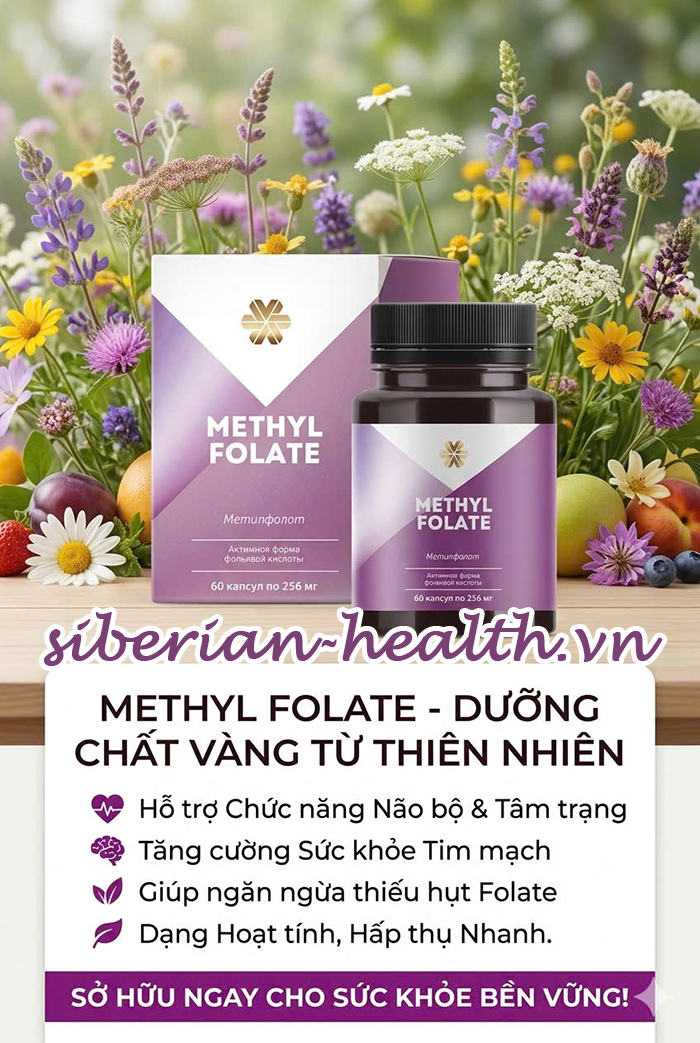Methylfolate Vitamin B9 từ Siberian Wellness