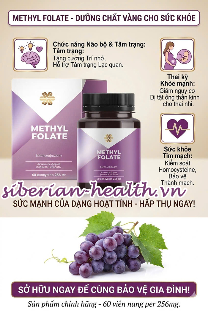 Methylfolate Vitamin B9 từ Siberian Wellness