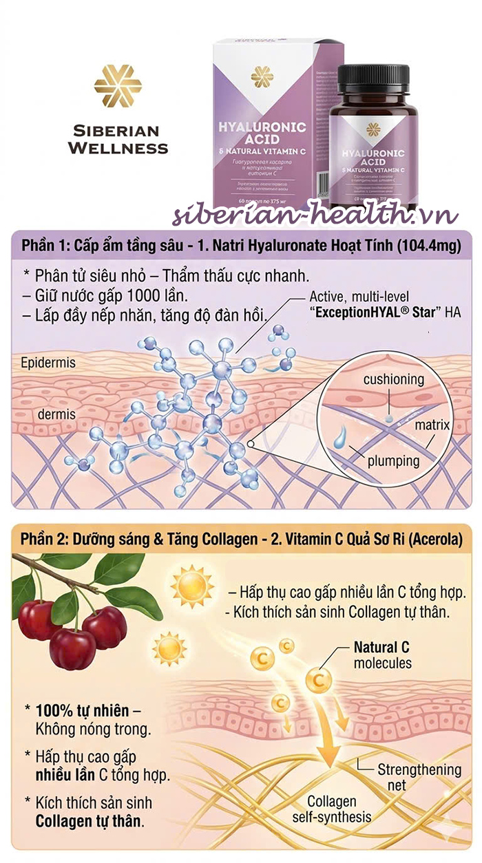 Cơ chế hấp thụ của Natri Hyaluronate phân tử siêu nhỏ giúp cấp ẩm tận lớp trung bì.